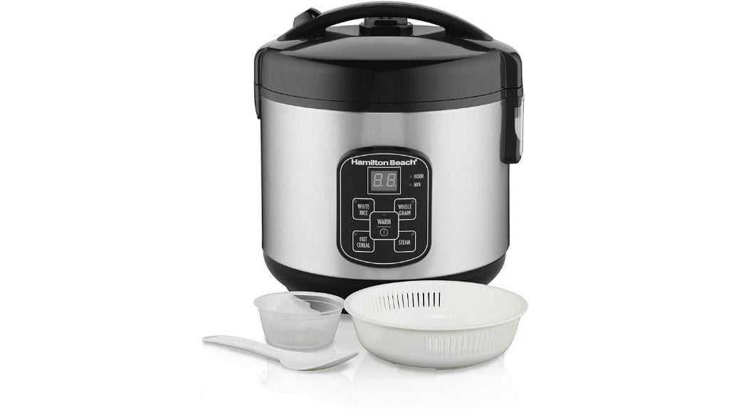 rice cooker with steamer