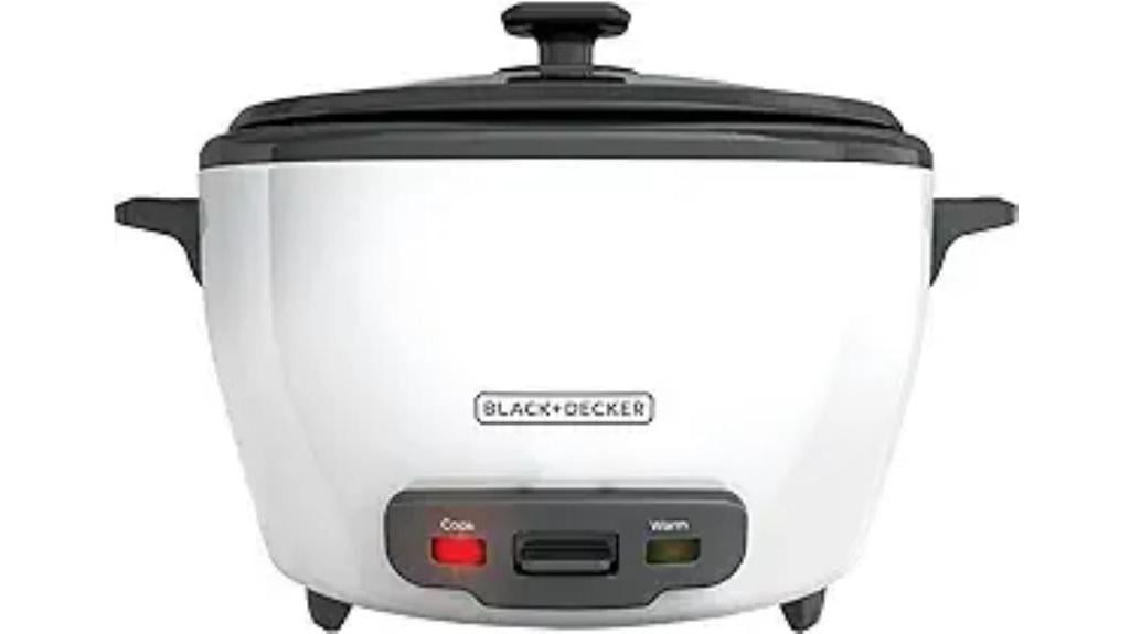 rice cooker with steamer