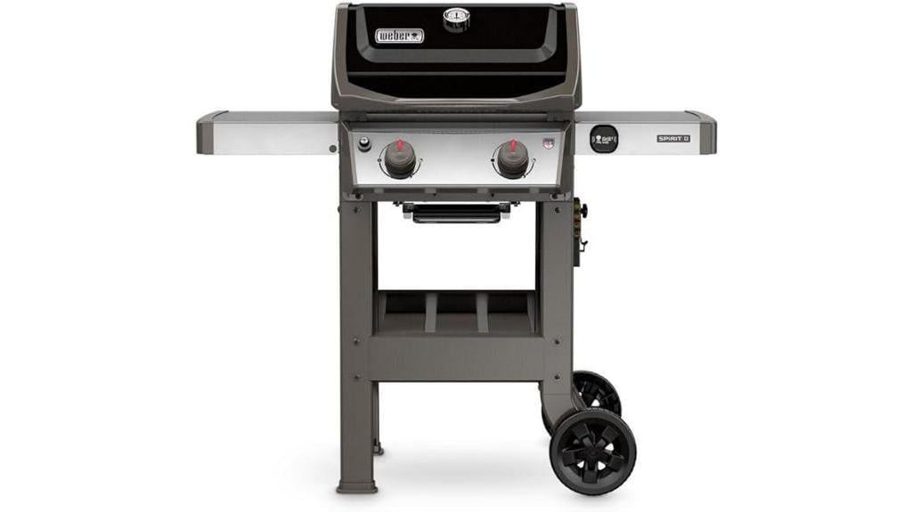 weber propane grill 2 burner